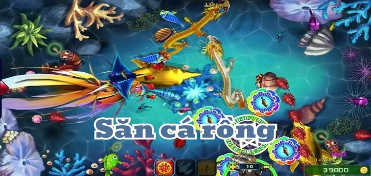 Mẹo Chơi Bắn Cá Rồng ThienHaBet Dễ Thắng Nhất Cho Newbie 1 Mẹo Chơi Bắn Cá Rồng ThienHaBet Dễ Thắng Nhất Cho Newbie
