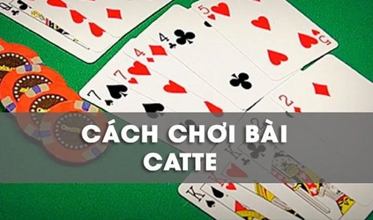 Hướng Dẫn Chơi Sắc Tê ThienHaBet Dễ Thắng Cho Người Mới Bắt Đầu 2 Hướng Dẫn Chơi Sắc Tê ThienHaBet Dễ Thắng Cho Người Mới Bắt Đầu